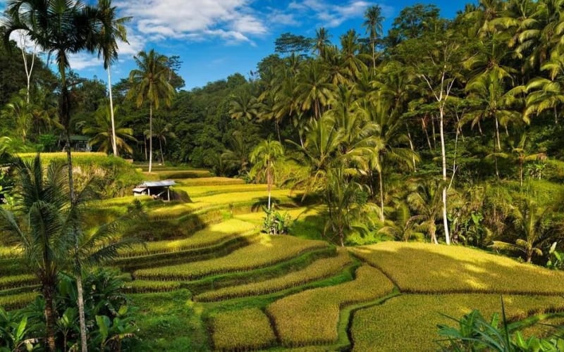 3-Day Bali Exploration Tour - main image