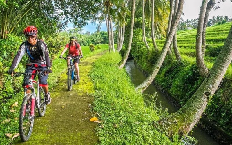 Bali Downhill Cycling & Rafting Adventure - main image