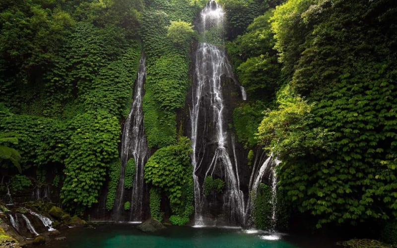 North Bali Waterfall & Hidden Hills Tour - main image