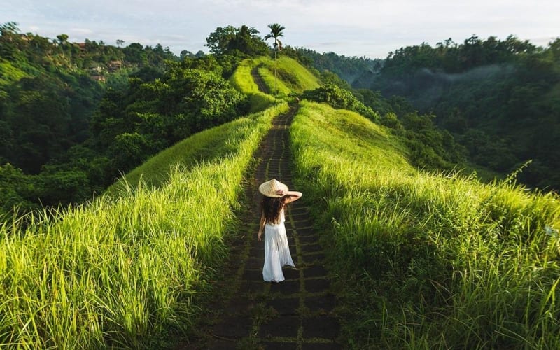 Ubud Countryside Tour: Campuhan Ridge Walk and Rice Terrace - main image