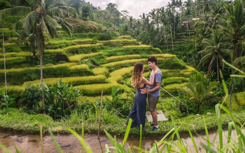 Ubud City Tour: Monkey Forest & Rice Terrace - main image