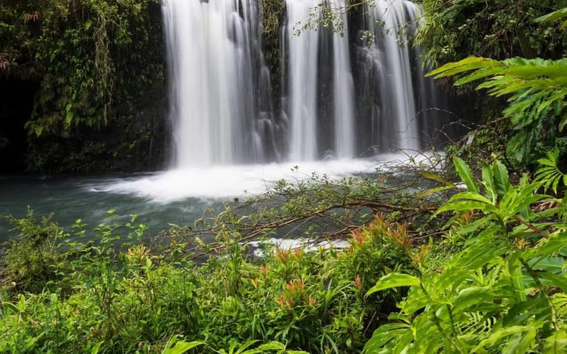 Private Road to Hana Waterfall Tour - main image