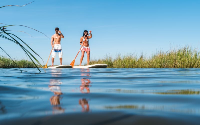 Hilton Head Stand-Up Paddleboarding - main image