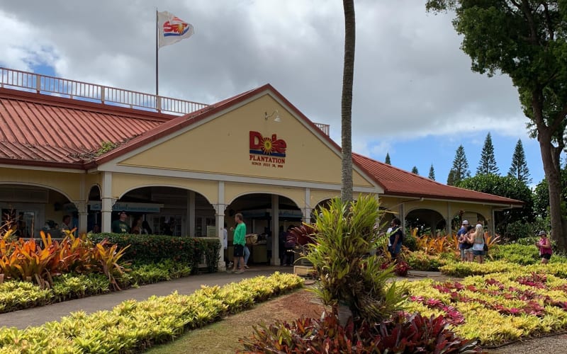 Oahu Island Adventure Tour - main image