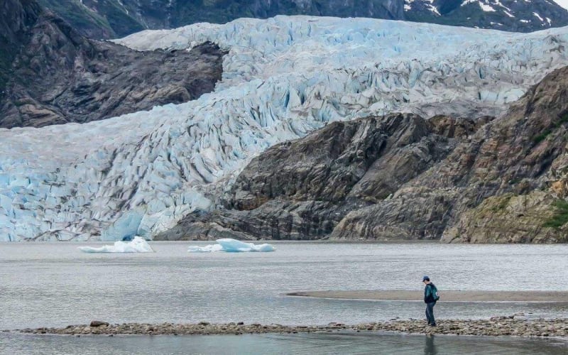 Juneau Whale Watching & Glacier Tour - main image