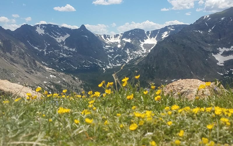 Rocky Mountain National Park Summer Tour - main image