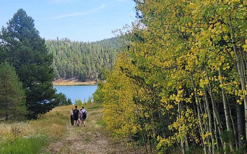 Rockies Half-Day Guided Hike from Denver - main image
