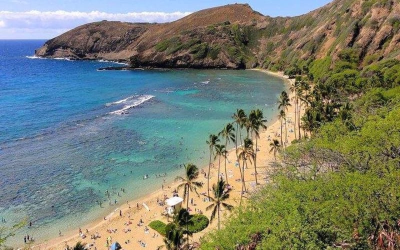 Private Oahu Circle Island Tour - main image