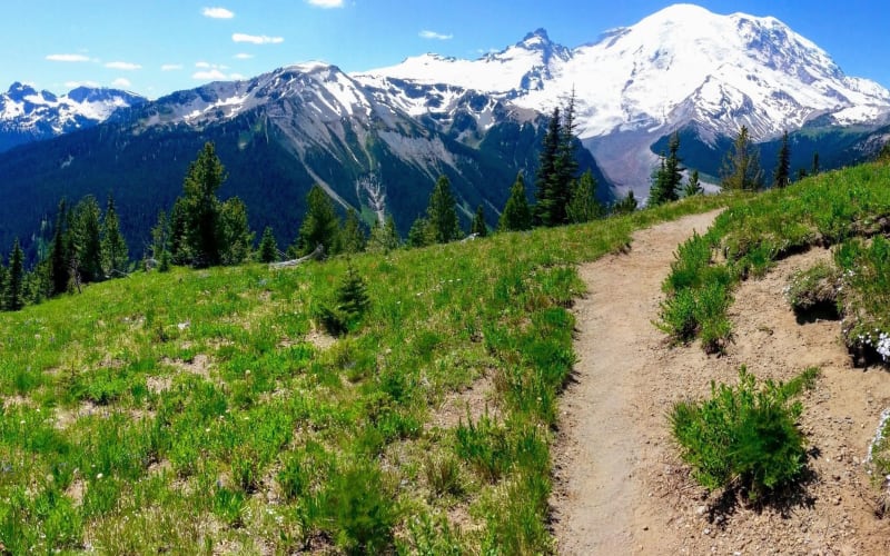 Mt. Rainier Hike & Yakima Valley Wine Tour - main image