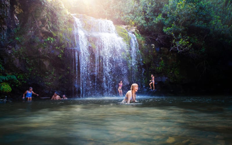 Kohala Waterfalls Adventure Tour - main image
