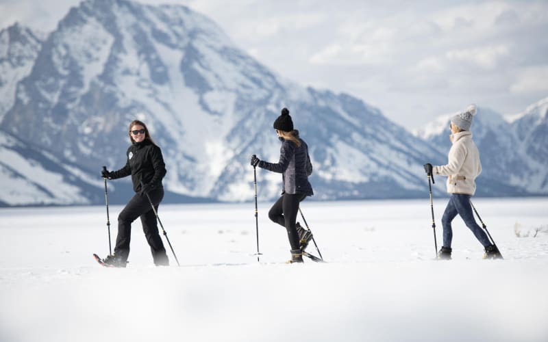 Grand Teton Snowshoe Adventure - main image