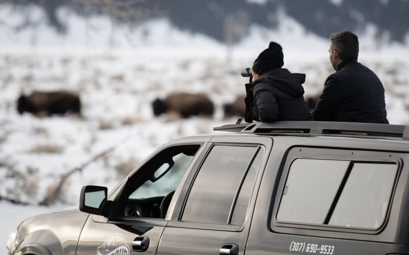 Grand Teton Snowshoe & Wildlife Tour - main image