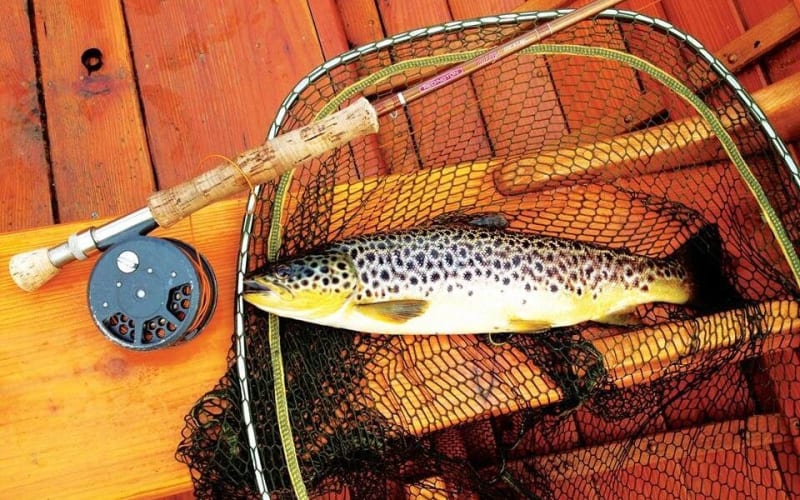 Lough Corrib Brown Trout Fly Fishing - main image