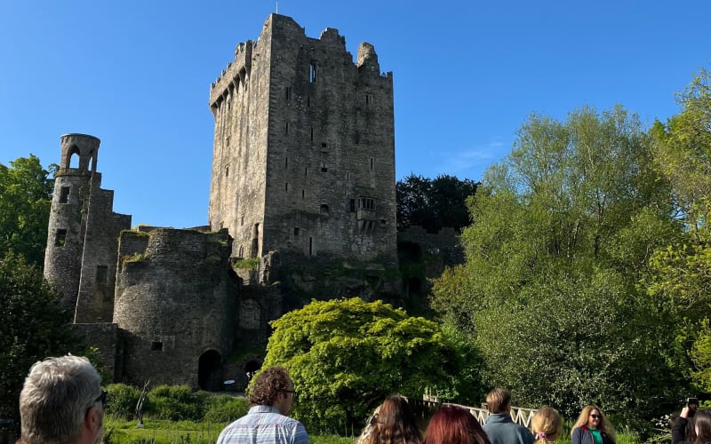 Blarney Castle and Cork Guided Private Tour in modern AC Minibus - main image
