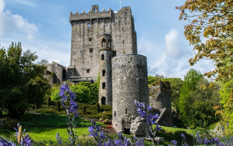 Luxury Private Day Tour to Blarney Castle - main image