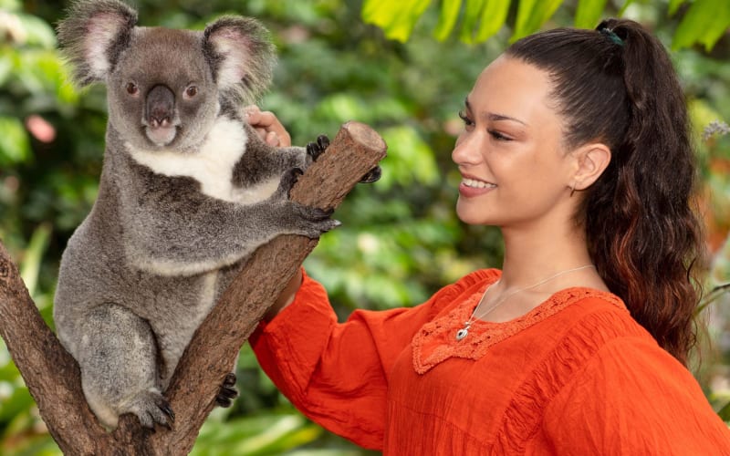 Kuranda Wildlife Experience Pass - main image