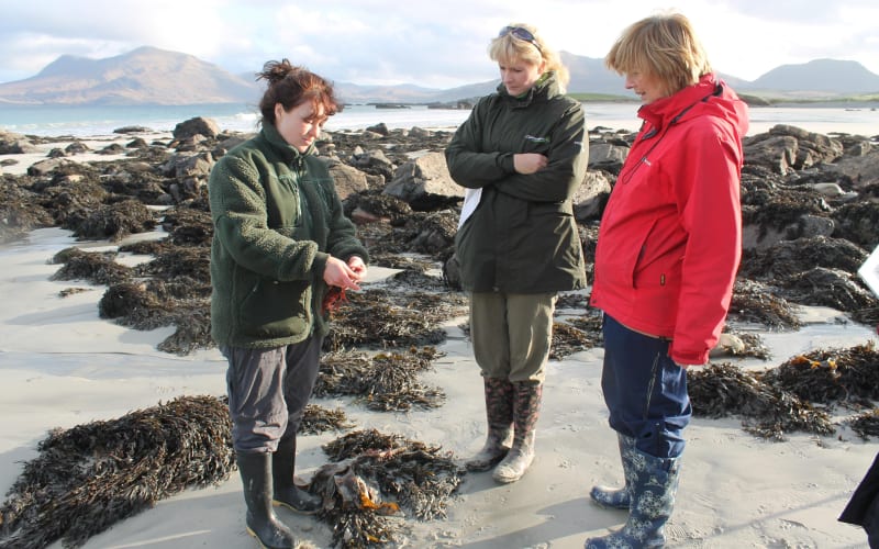 Connemara National Park, Beach & Blanket Bog ecology walk. Private Full-day  - main image