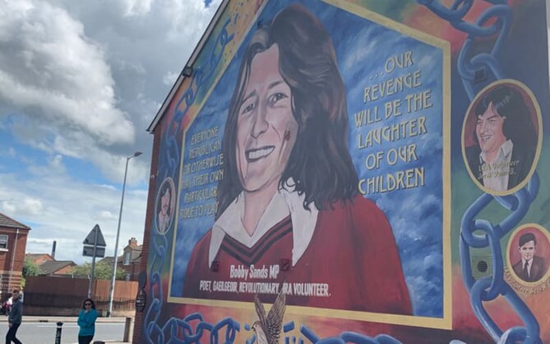 Belfast city and Mural 4 hour tour  - main image