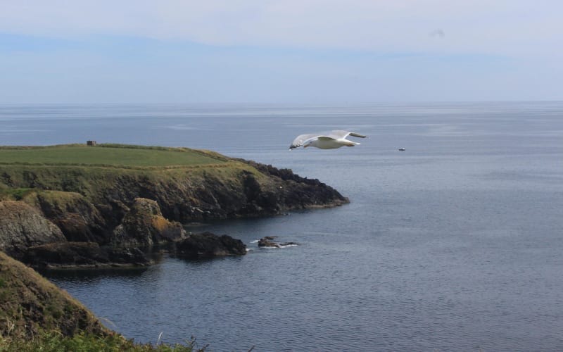 Full day Private Tour from Waterford - main image