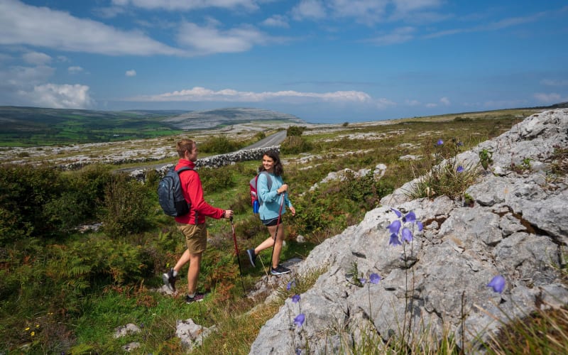 Mullaghmore Hill walk in the Burren, Clare. Private Guided. 2 hrs - main image
