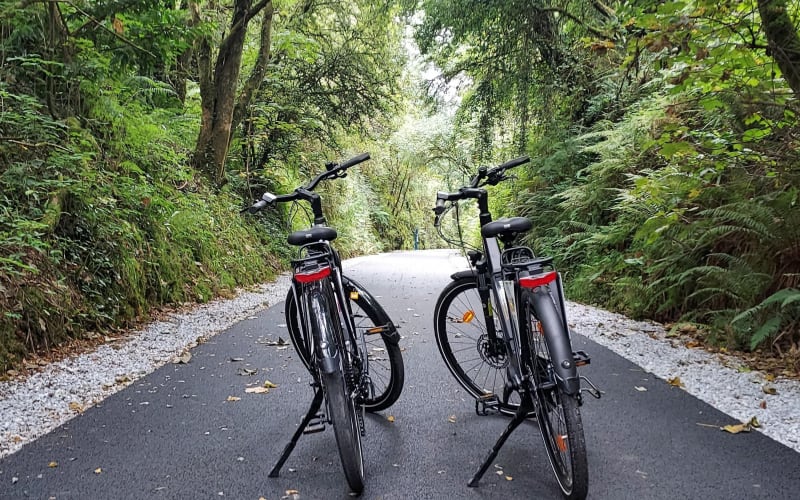 Tralee to Fenit Greenway Self-Guided Bike Tour - main image