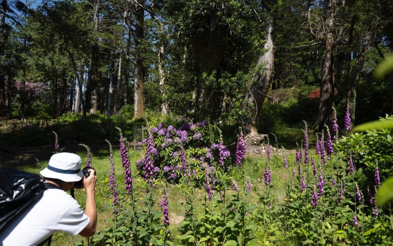 4 Hr Private Photography Tour from Kenmare – All Skill Levels - main image