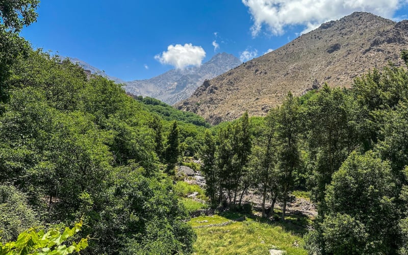 Atlas Mountains Ourika valley tour with Lunch included - main image