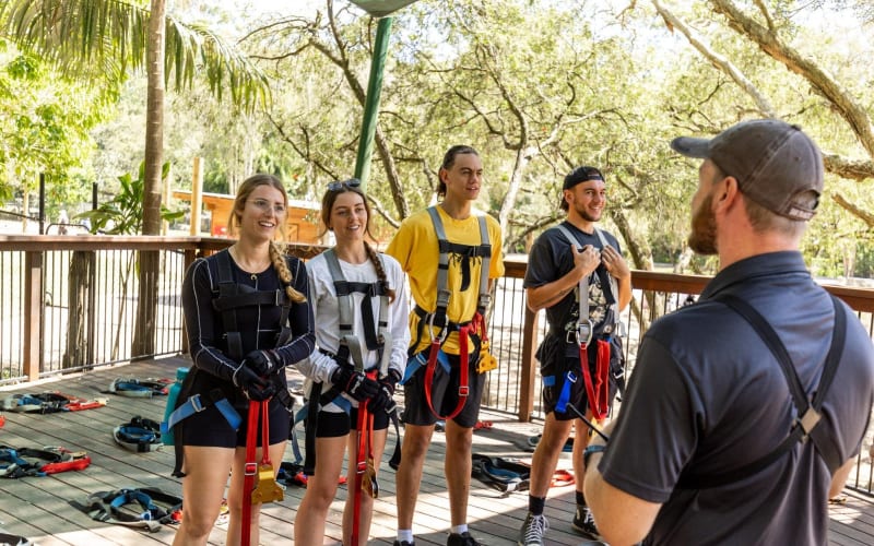 TreeTop Challenge at Currumbin Wildlife Sanctuary - main image