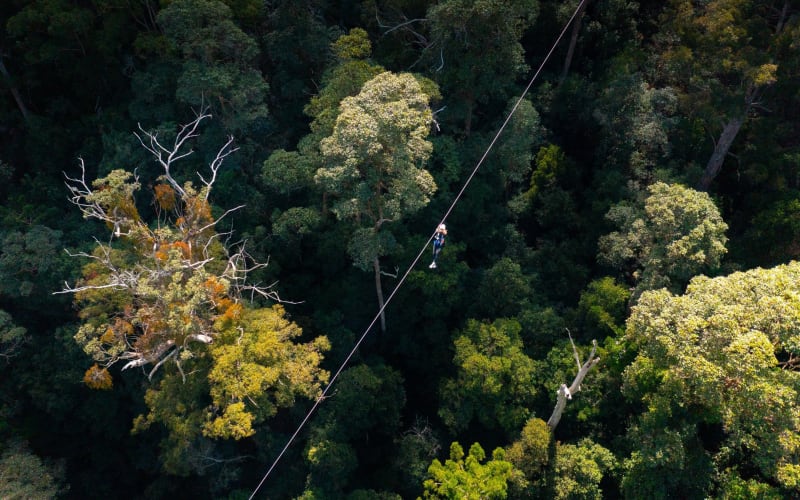Gold Coast Canyon Flyer Zipline Tour - main image