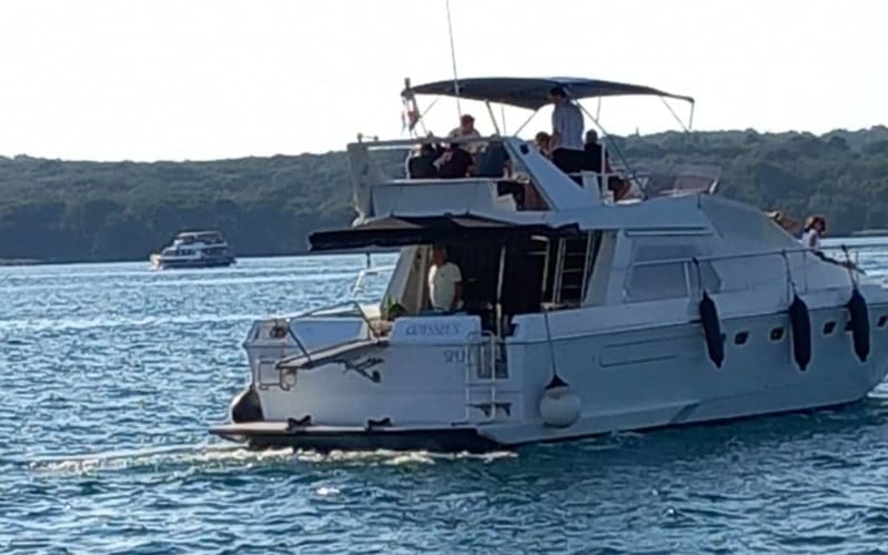 Private Dolphin Watching & Swim Yacht Tour Pula - main image