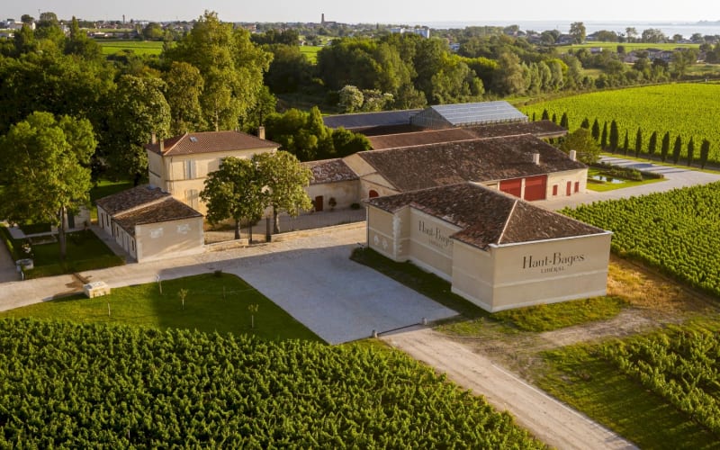 Aerial view of Château Haut-Bages Libéral surrounded by vineyards in Pauillac