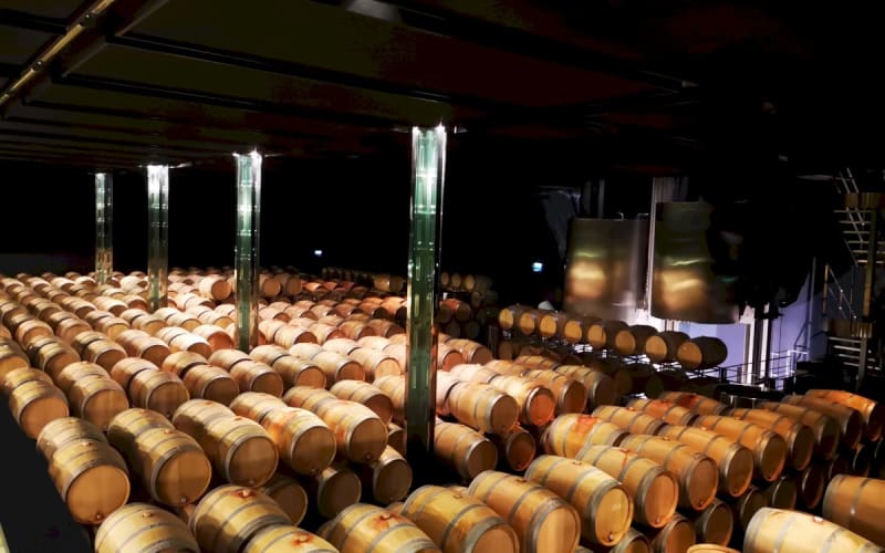 Modern gravity-flow cellar with French oak barrels aging Château Cos d'Estournel Saint-Estèphe wine