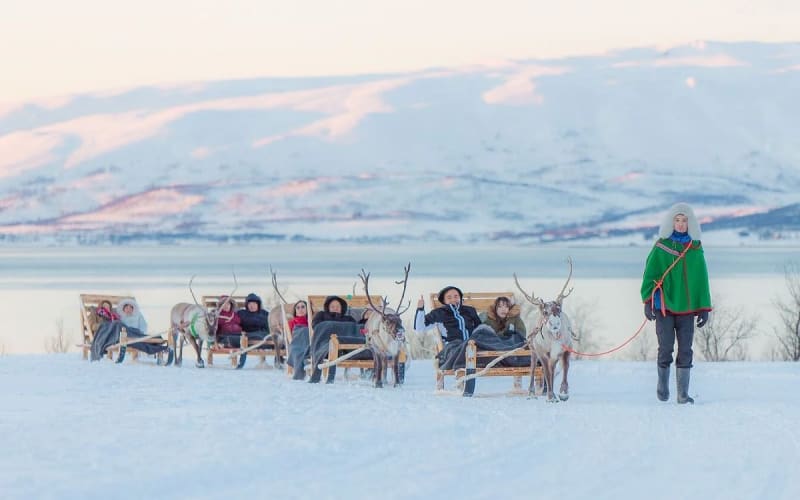 Tromsø: Short Reindeer Sledding, Reindeer Feeding & Sami Culture Tour - main image