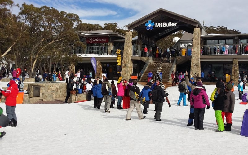 Mt Buller Snow Day Trip from Melbourne - main image