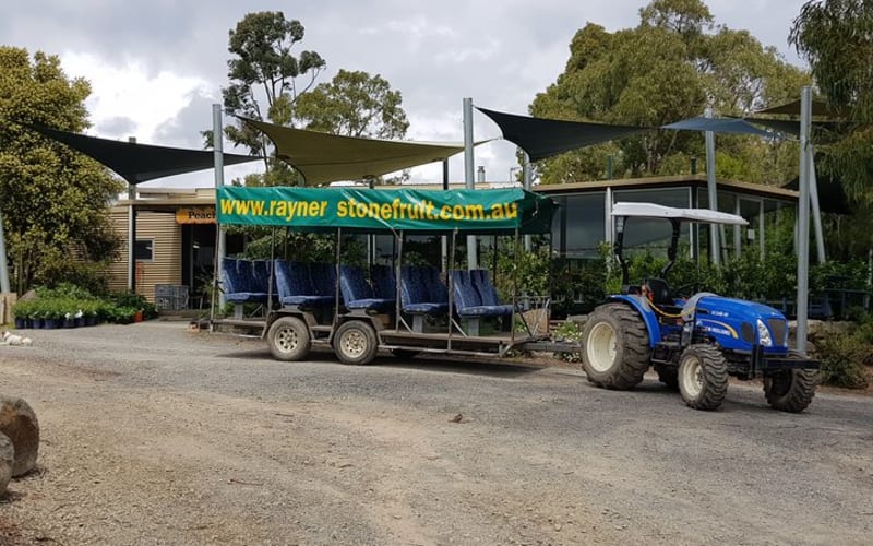 Healesville Sanctuary & Rayners Orchard Small Group Tour - main image