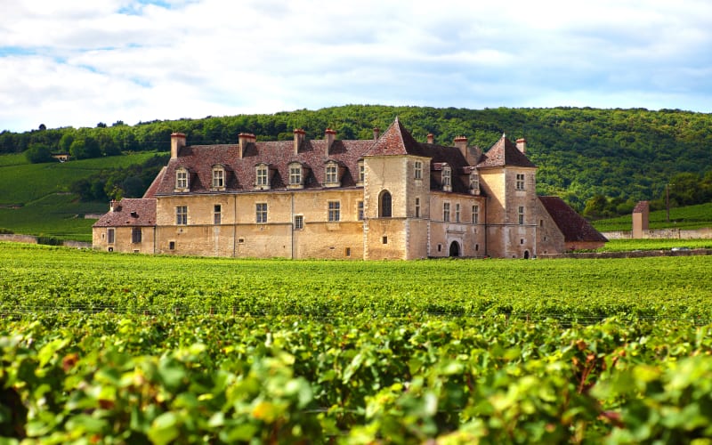 View of Château du Clos de Vougeot standing amid lush green vineyards in the heart of the Burgundy wine region under a bright sky