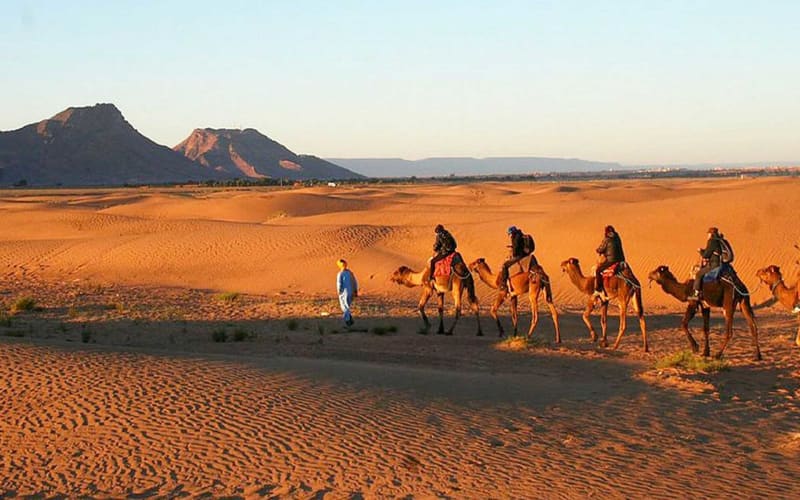 Tour Deserto Marocco: 2 giorni da Marrakech a Zagora - main image