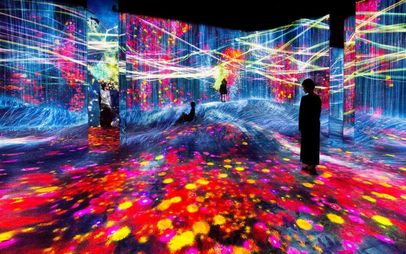 TeamLab Phenomena + SeaWorld Abu Dhabi - main image