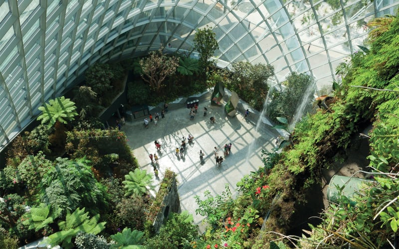Gardens By The Bay Singapore - main image