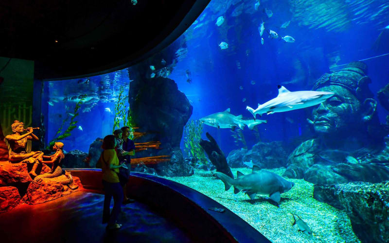 SEA LIFE Bangkok Ocean World  - main image