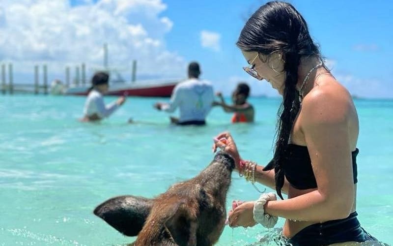 Nassau Swimming Pigs & Private Beach Club Adventure - main image