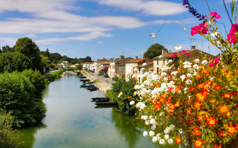 Flower-filled canal lined with traditional boats and village houses in Coulon, Marais Poitevin.