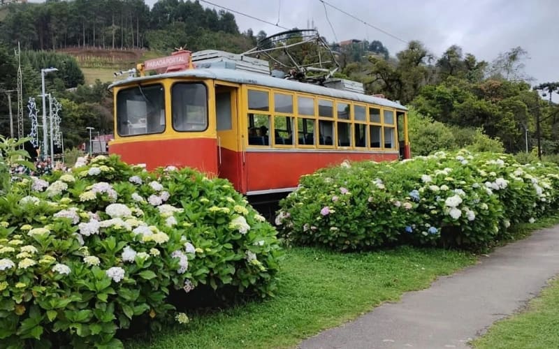 Excursión a Campos do Jordão desde Sao Paulo - main image