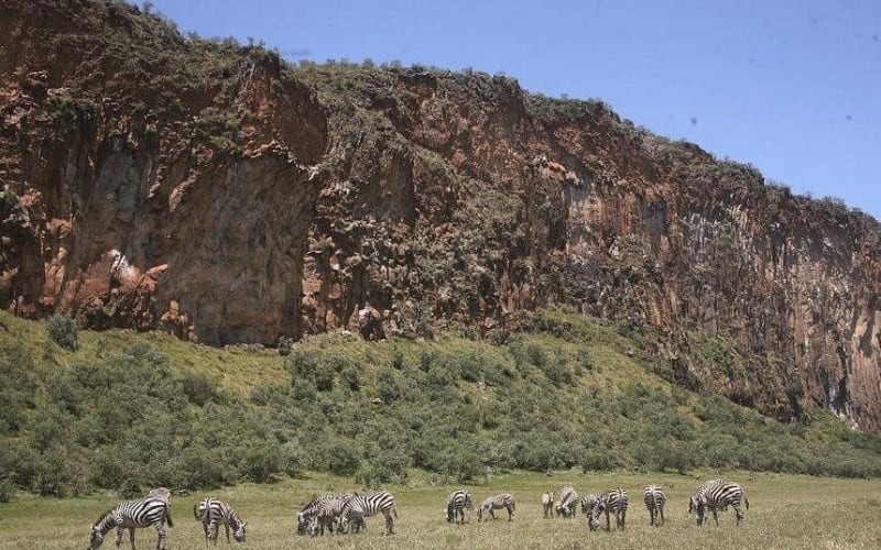 Hells Gate National Park Day Tour from Nairobi - main image
