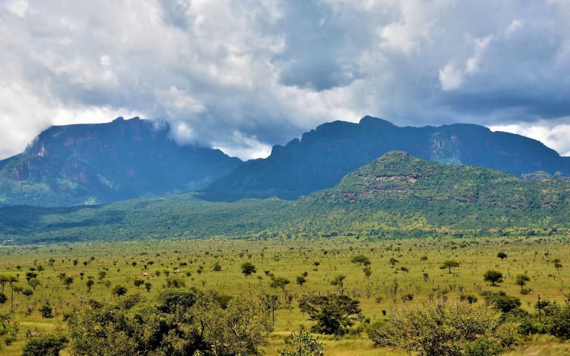 2-Day Pian Upe Game Reserve Adventure - main image