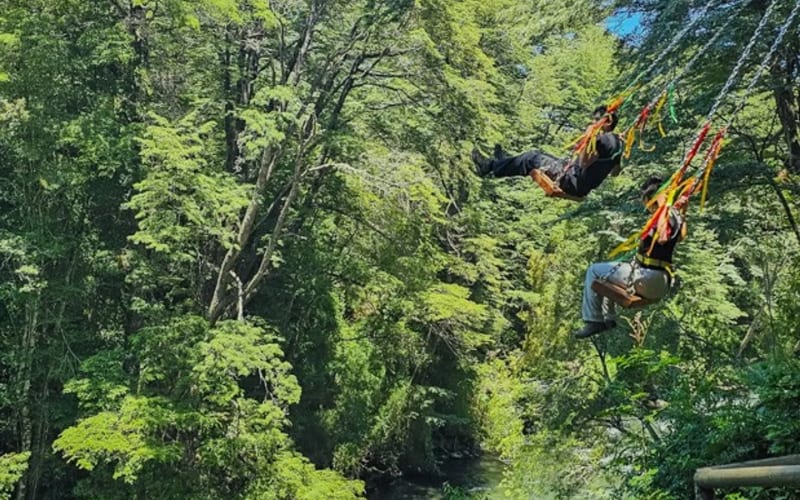 Pase Multi Aventura en Vórtice Park Curacautín - main image