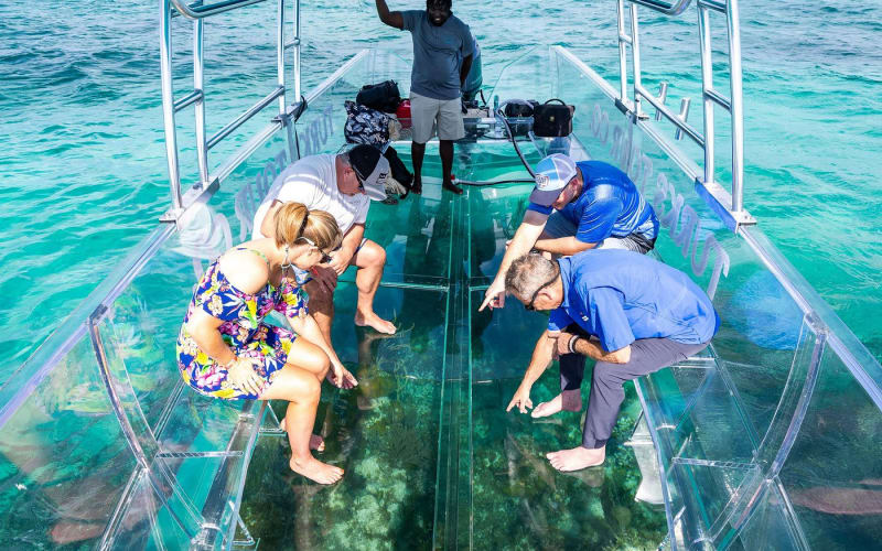 75-Minute Clear Boat Tour Caicos Island - main image