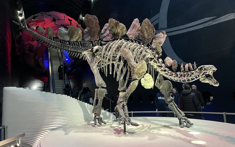 Natural History Museum of London Guided Tour – Private - main image
