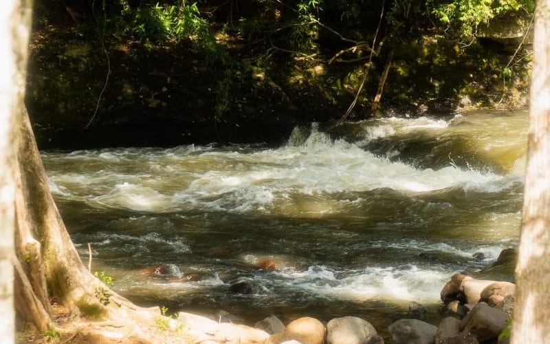 Ingreso a Raft Adventure Park en Tres Coroas - main image