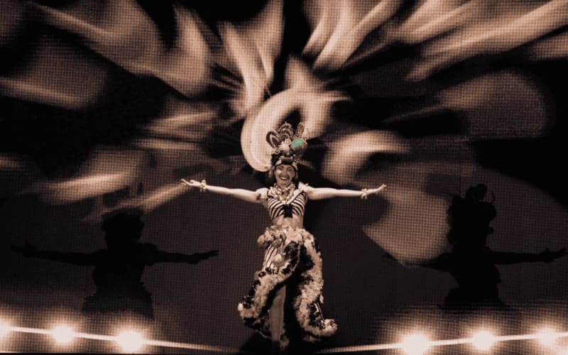 Entrada a Roxy Dinner Show - main image